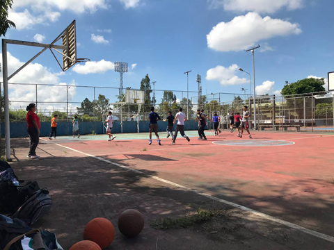 basquet