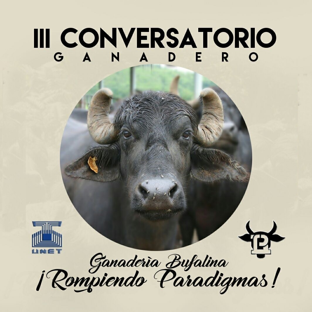 conversatorio afiche primera